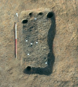 The bustum, with seeds marked with white squares. Photo: Colchester Archaeological Trust