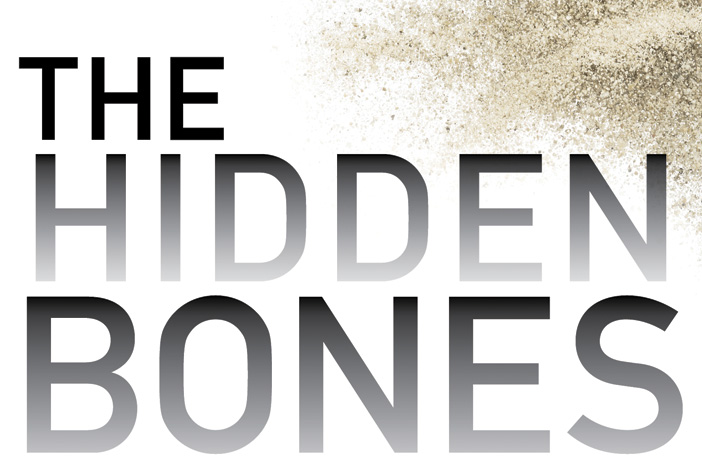 Do archeologists lick bones?