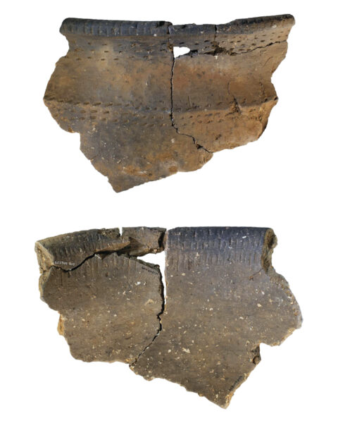 Neolithic Surplus Storage Sizewell C: the story so far - Current Archaeology
